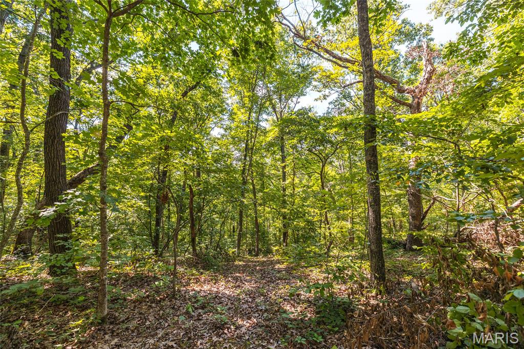 Tbd Wedgewood Road Eldon, MO 65026 - Photo 8 of 29