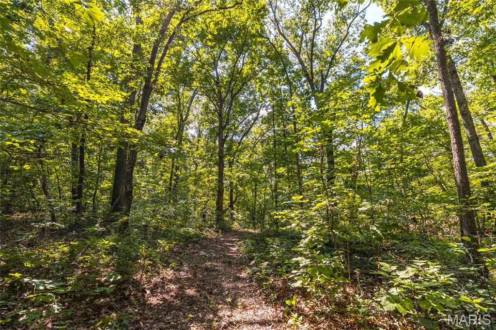 Tbd Wedgewood Road Eldon, MO 65026 - Photo 9 of 29