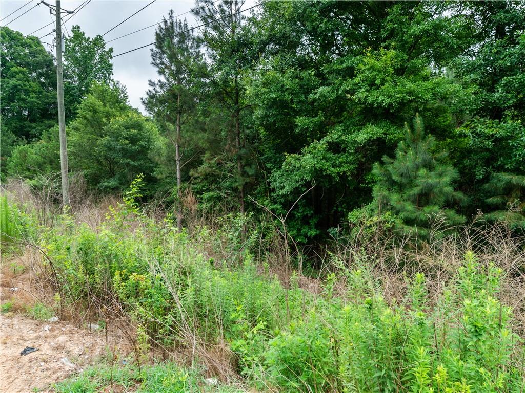 0 Centerville Rosebud Road Snellville, GA 30039 - Photo 36 of 36