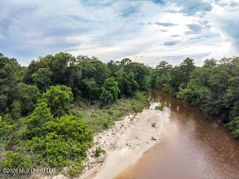 Mcneill Mchenry Road Poplarville, MS 39470 - Photo 4 of 14 4