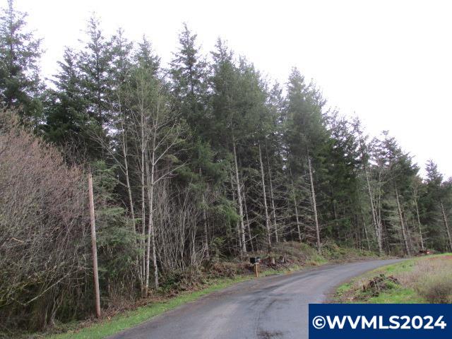 0 Zurfluh Road Scio, OR 97374 - Photo 3 of 14