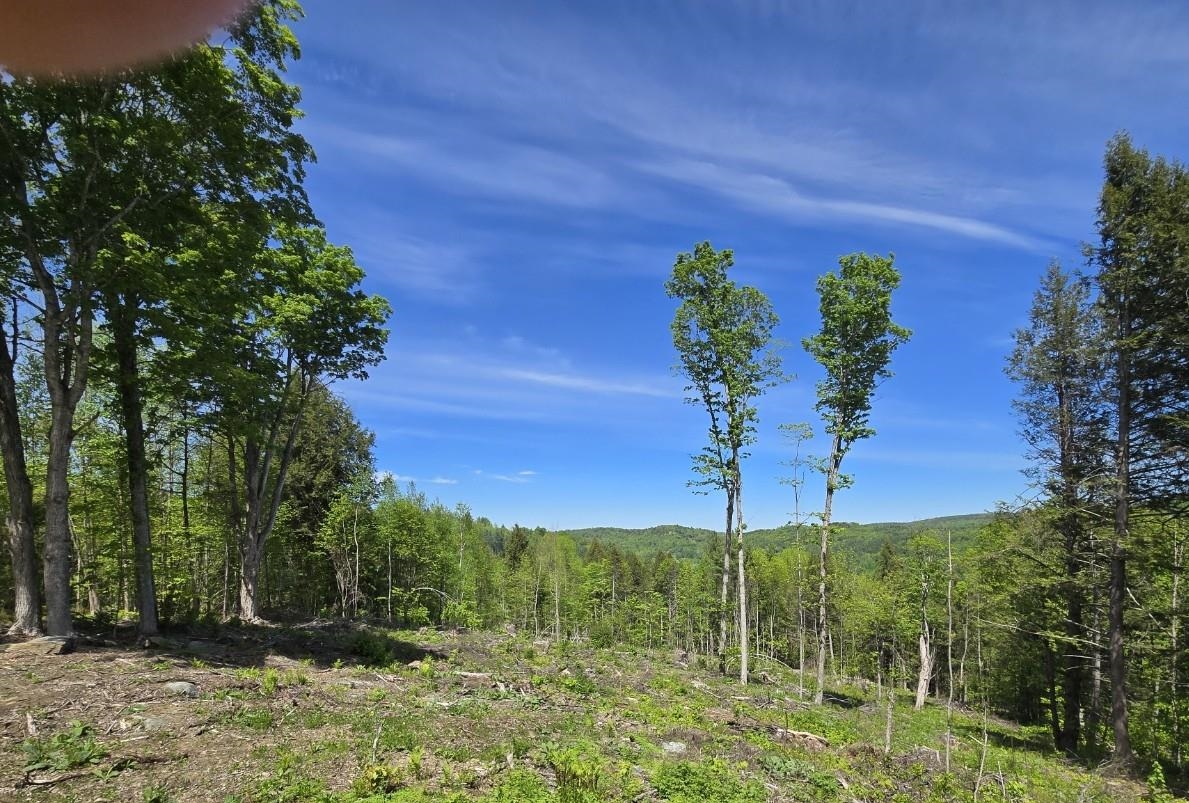 0 Vt Route, Unit LOT 1 Bethel, VT 05032 - Photo 10 of 10