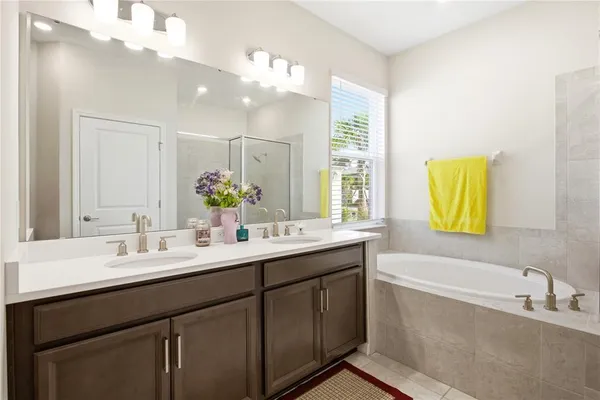 a bathroom with a double vanity sink bathtub and a mirror