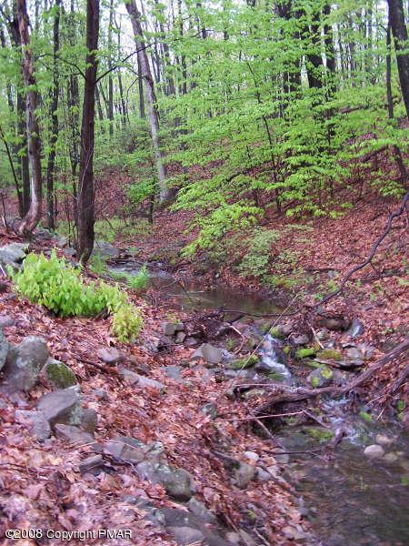 541 Back Mountain Road Swiftwater, PA 18370 - Photo 4 of 24 4
