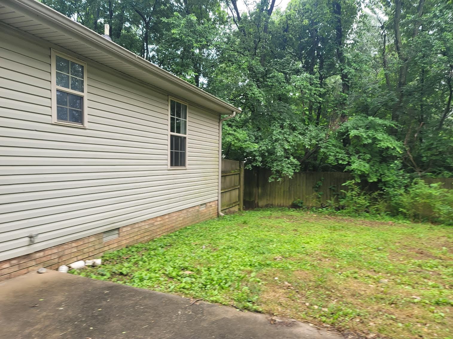 744 Needmore Road Clarksville, TN 37040 - Photo 12 of 12 a view of a backyard with plants and large trees