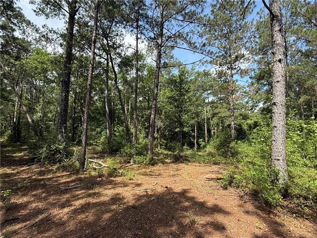 Lot 3-7 Robin Road Franklinton, LA 70438 - Photo 5 of 7