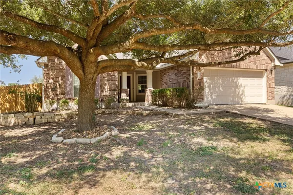 a view of a yard with a tree