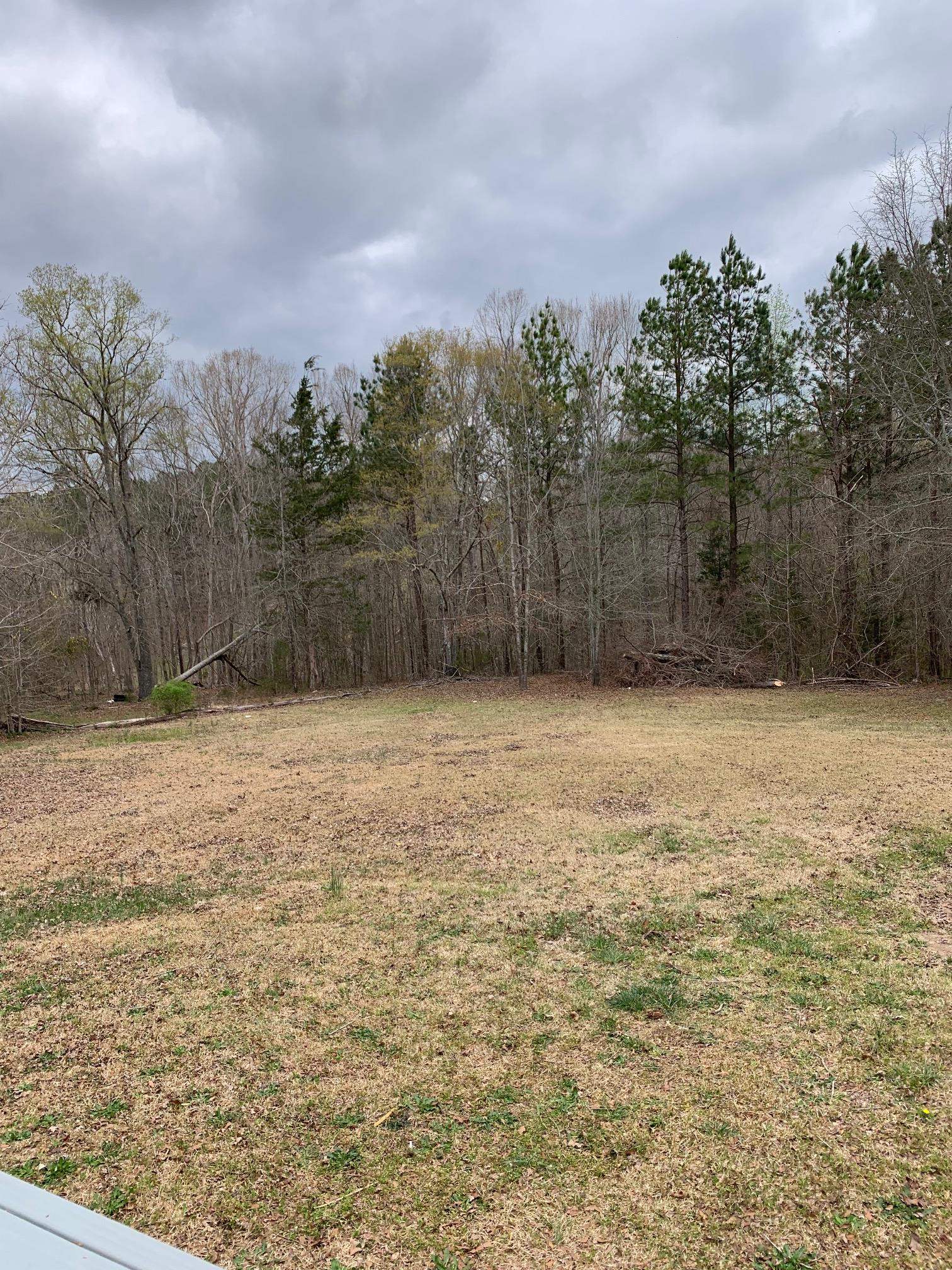 388 Virginia Circle Waterloo, SC 29384 - Photo 7 of 23