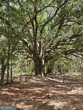 $1,100,000 | 3047 John Burch Road, Folkston, GA 31537