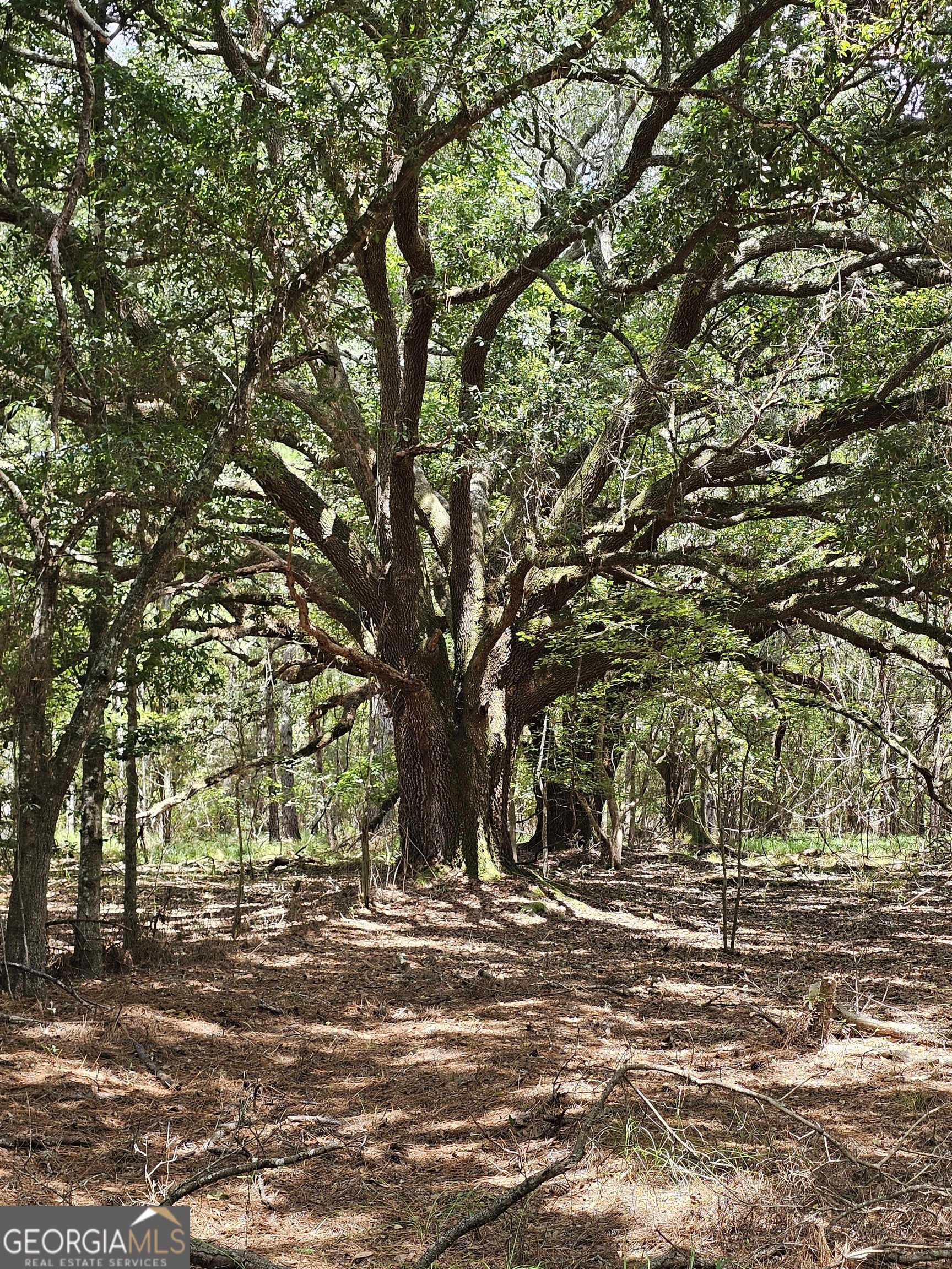 3047 John Burch Road Folkston, GA 31537 - Photo 13 of 16