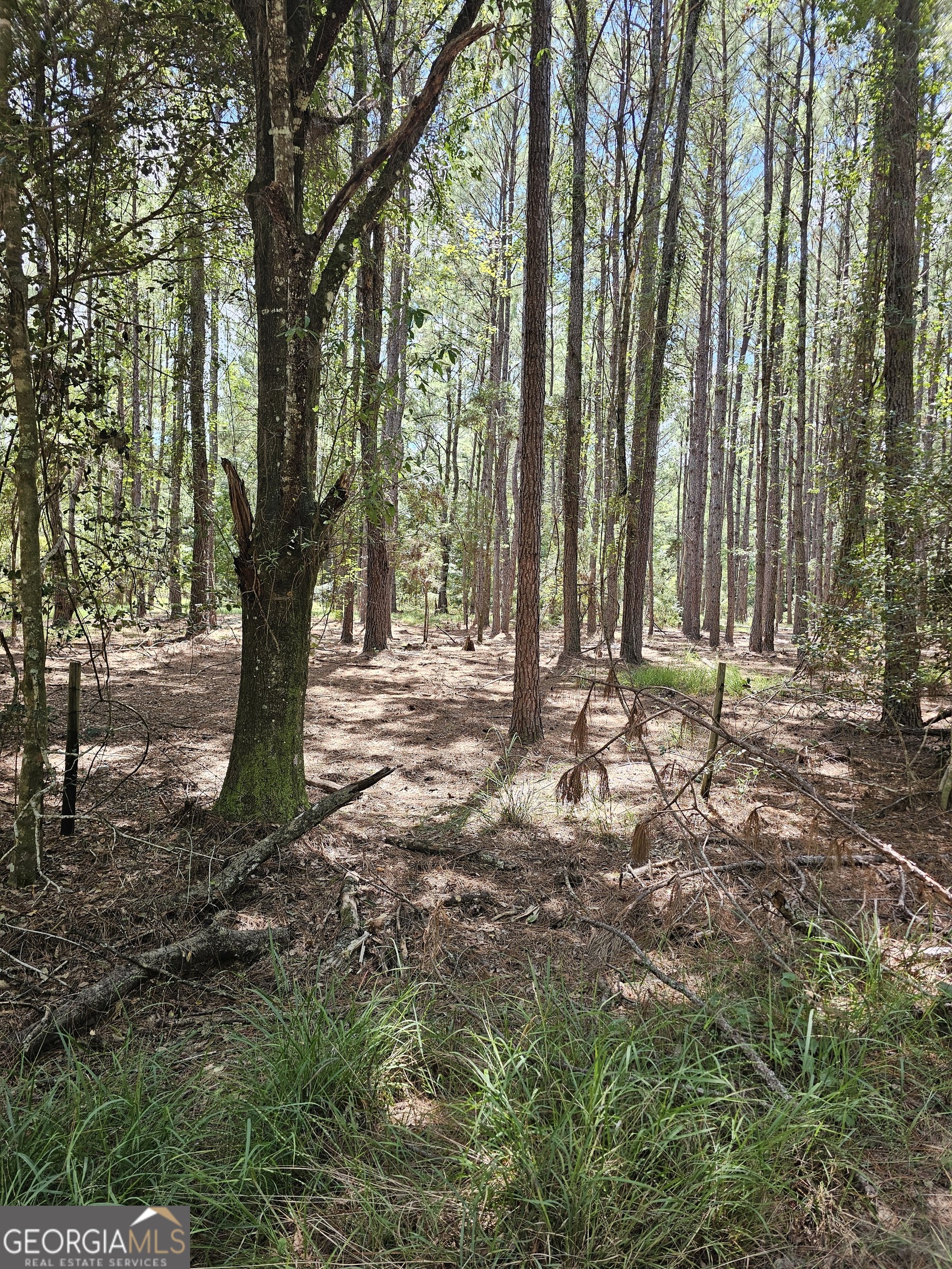 3047 John Burch Road Folkston, GA 31537 - Photo 14 of 16