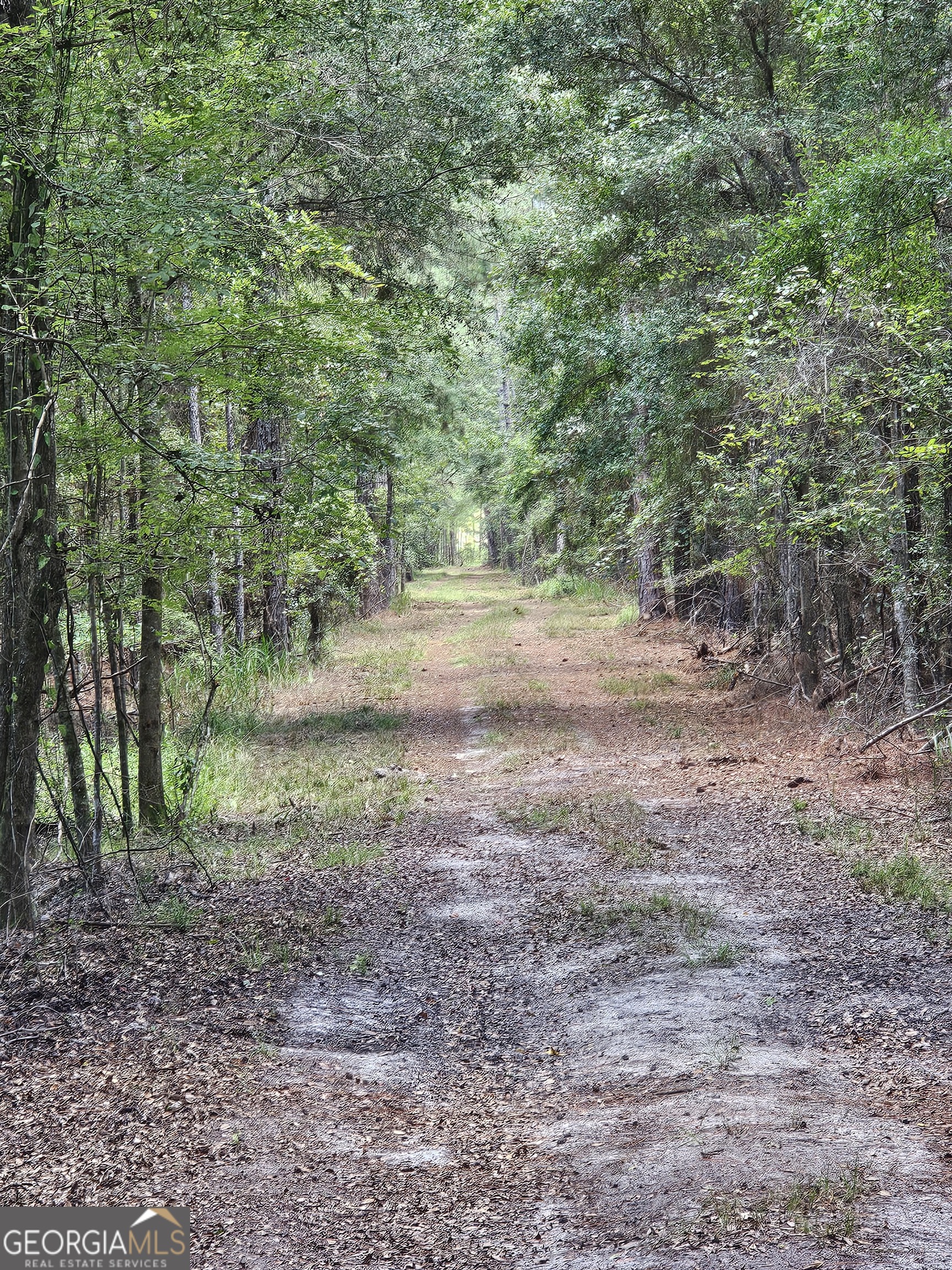 3047 John Burch Road Folkston, GA 31537 - Photo 15 of 16