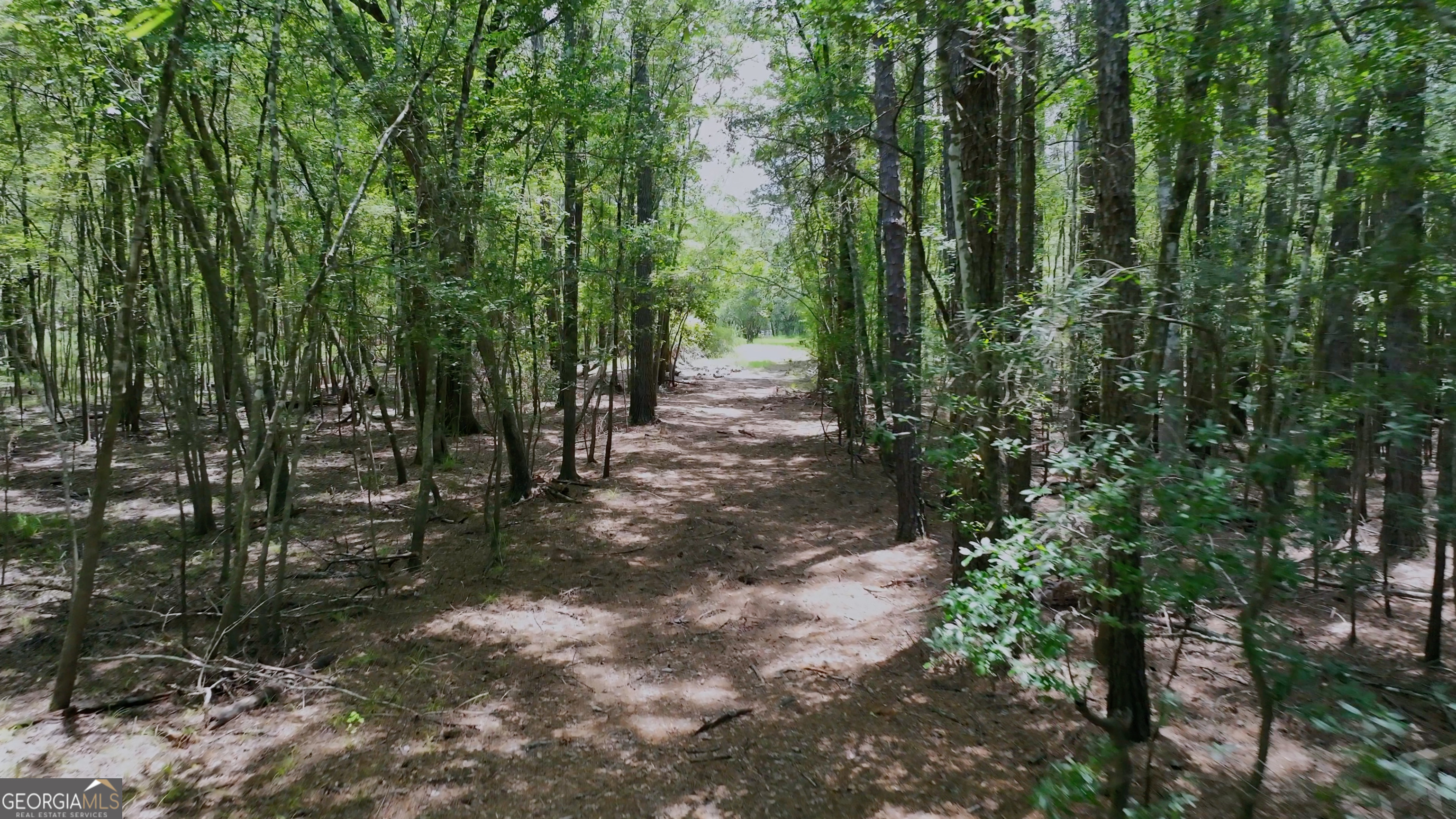 3047 John Burch Road Folkston, GA 31537 - Photo 4 of 16