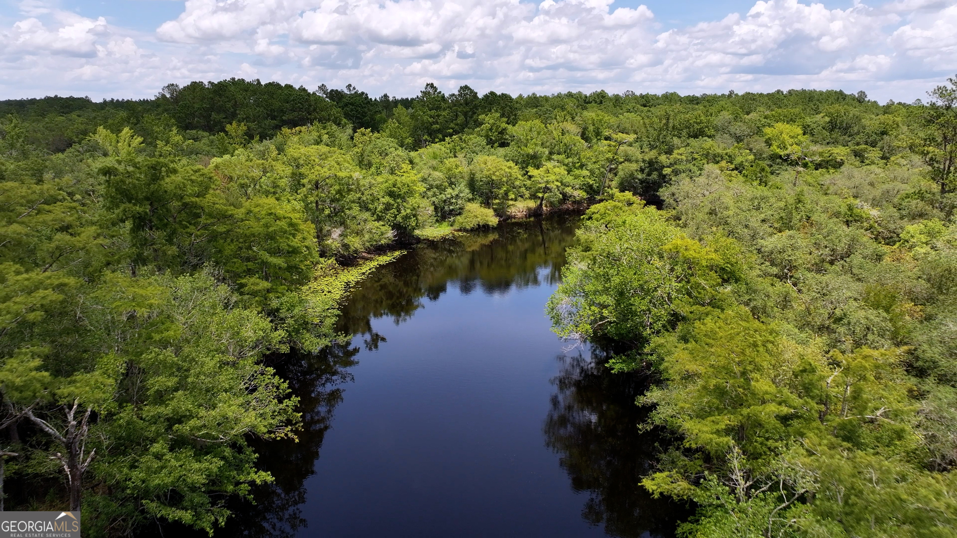 3047 John Burch Road Folkston, GA 31537 - Photo 7 of 16