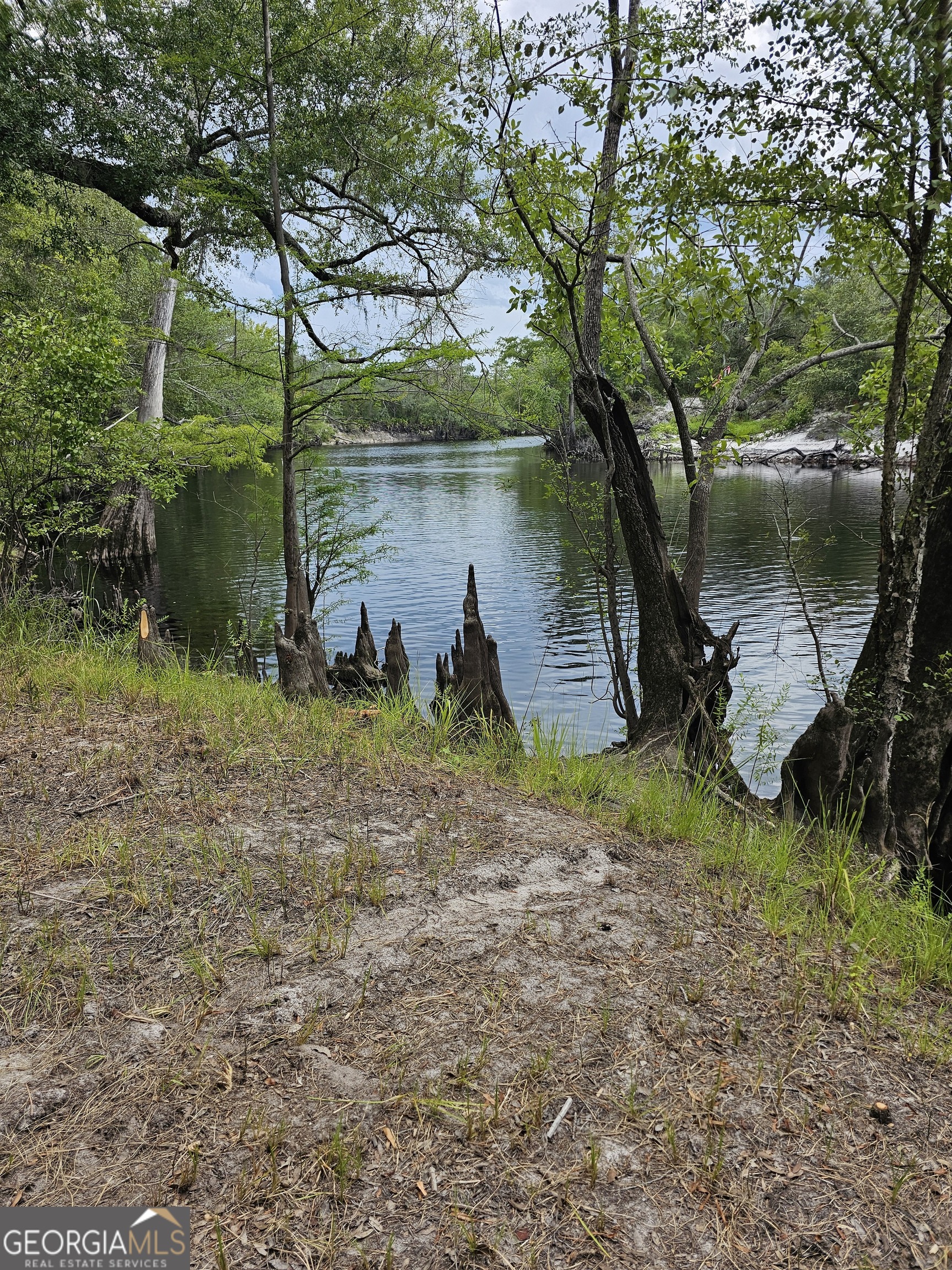 3047 John Burch Road Folkston, GA 31537 - Photo 10 of 16