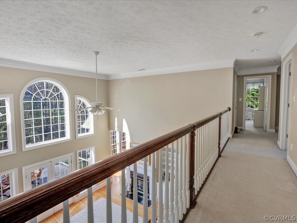 13711 Beechwood Point Road Midlothian, VA 23112 - Photo 27 of 49 a view of a large room with a large window