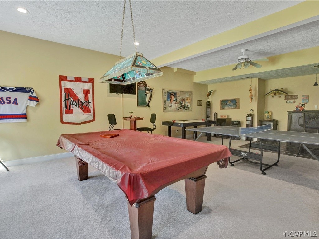 13711 Beechwood Point Road Midlothian, VA 23112 - Photo 38 of 49