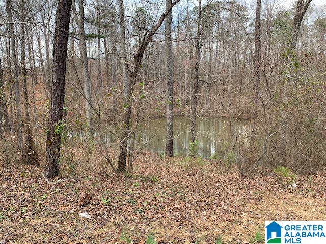 12133 Graceland Road Northport, AL 35475 - Photo 27 of 29