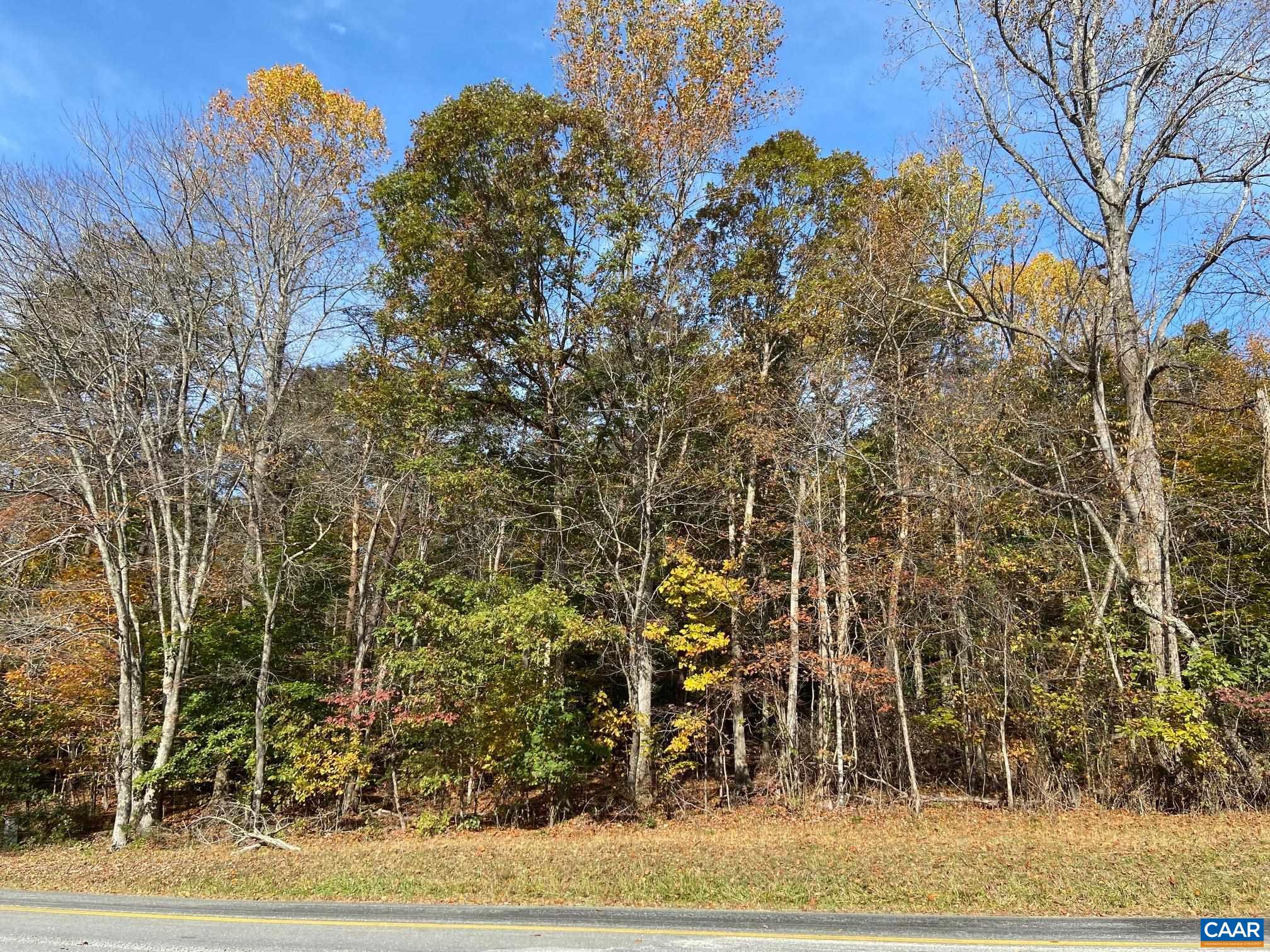 Variety Mill Road Arrington, VA 22922 - Photo 2 of 3 a view of a yard