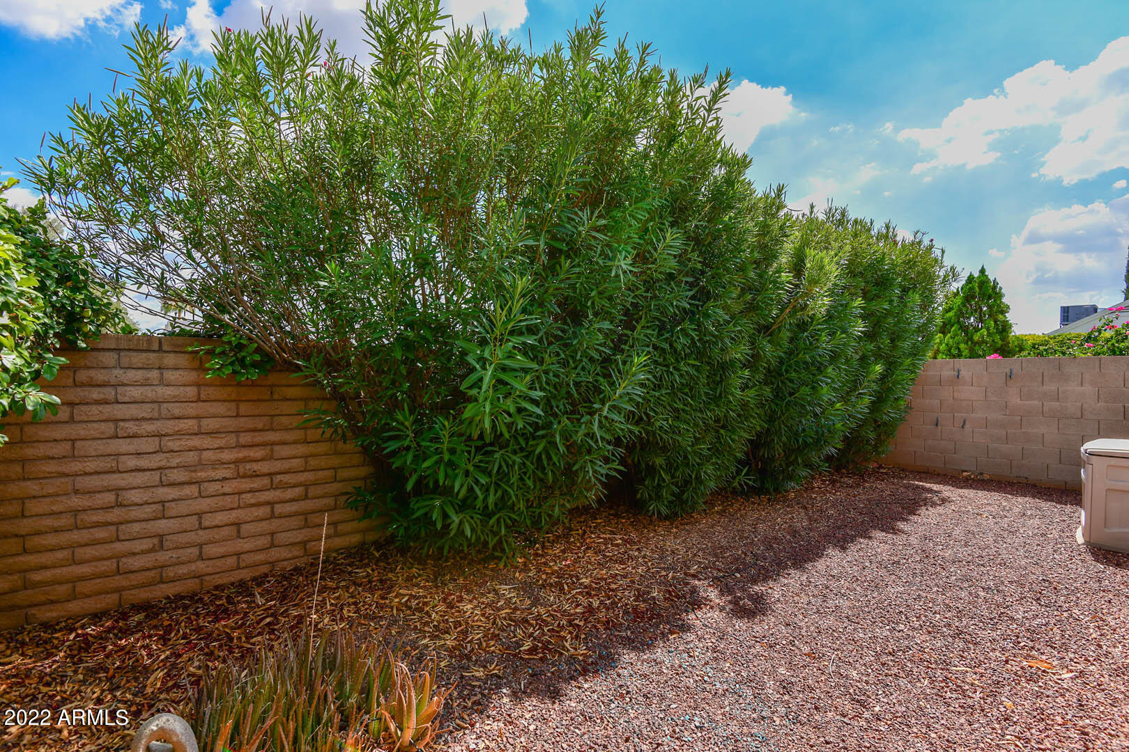 1126 East Wagoner Road Phoenix, AZ 85022 - Photo 37 of 40 Side Yard2
