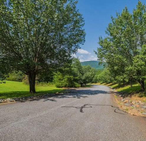 a view of backyard with green space