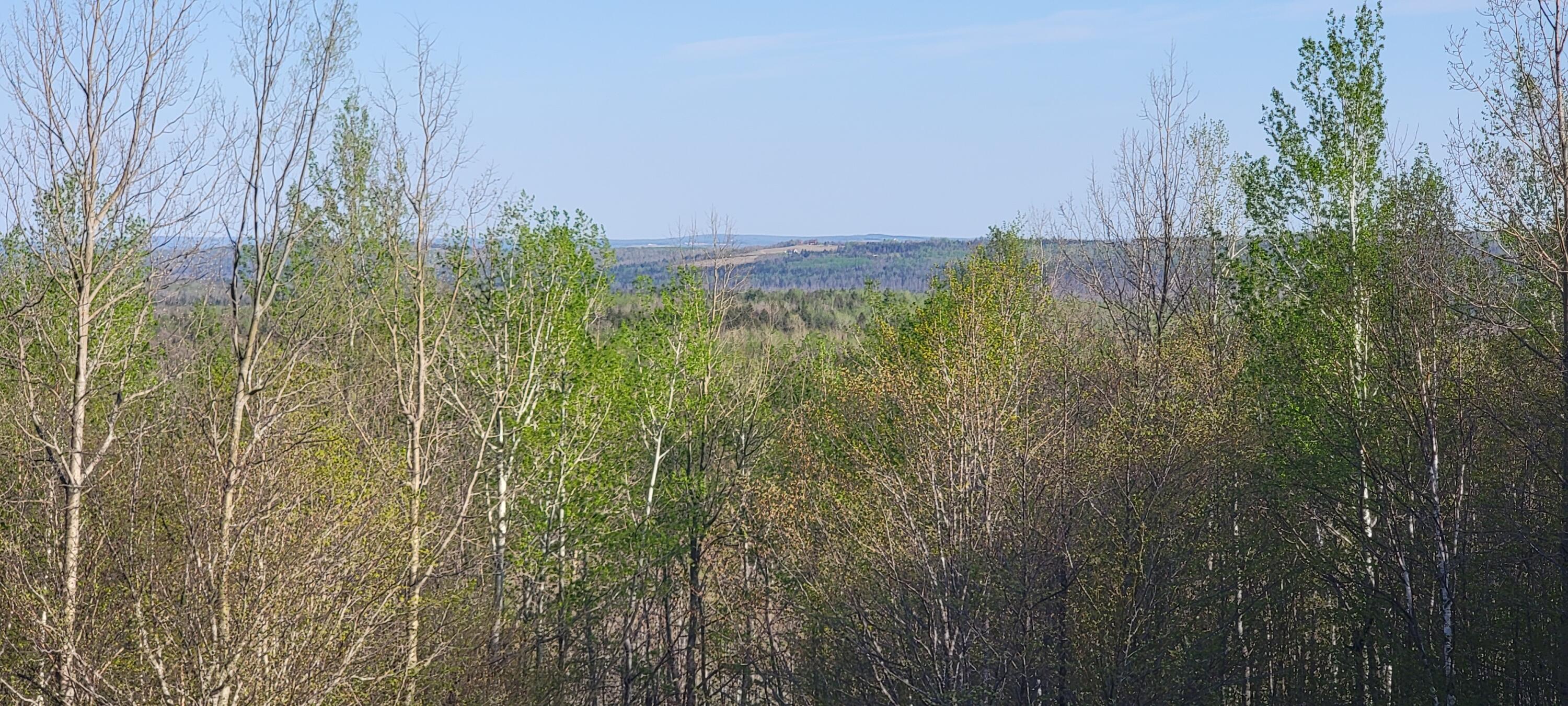 376 Ackley Pond Rd Mount Mount Chase, ME 04765 - Photo 18 of 56 20220513_172912