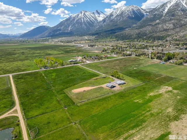 a view of a field with a big yard
