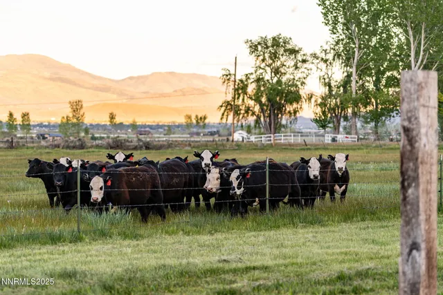 $1,950,000 | 320 Mottsville Lane, Gardnerville, NV 89460