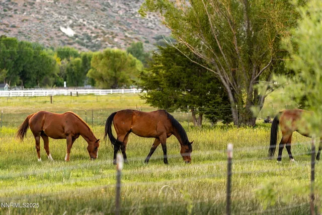 $1,950,000 | 320 Mottsville Lane, Gardnerville, NV 89460