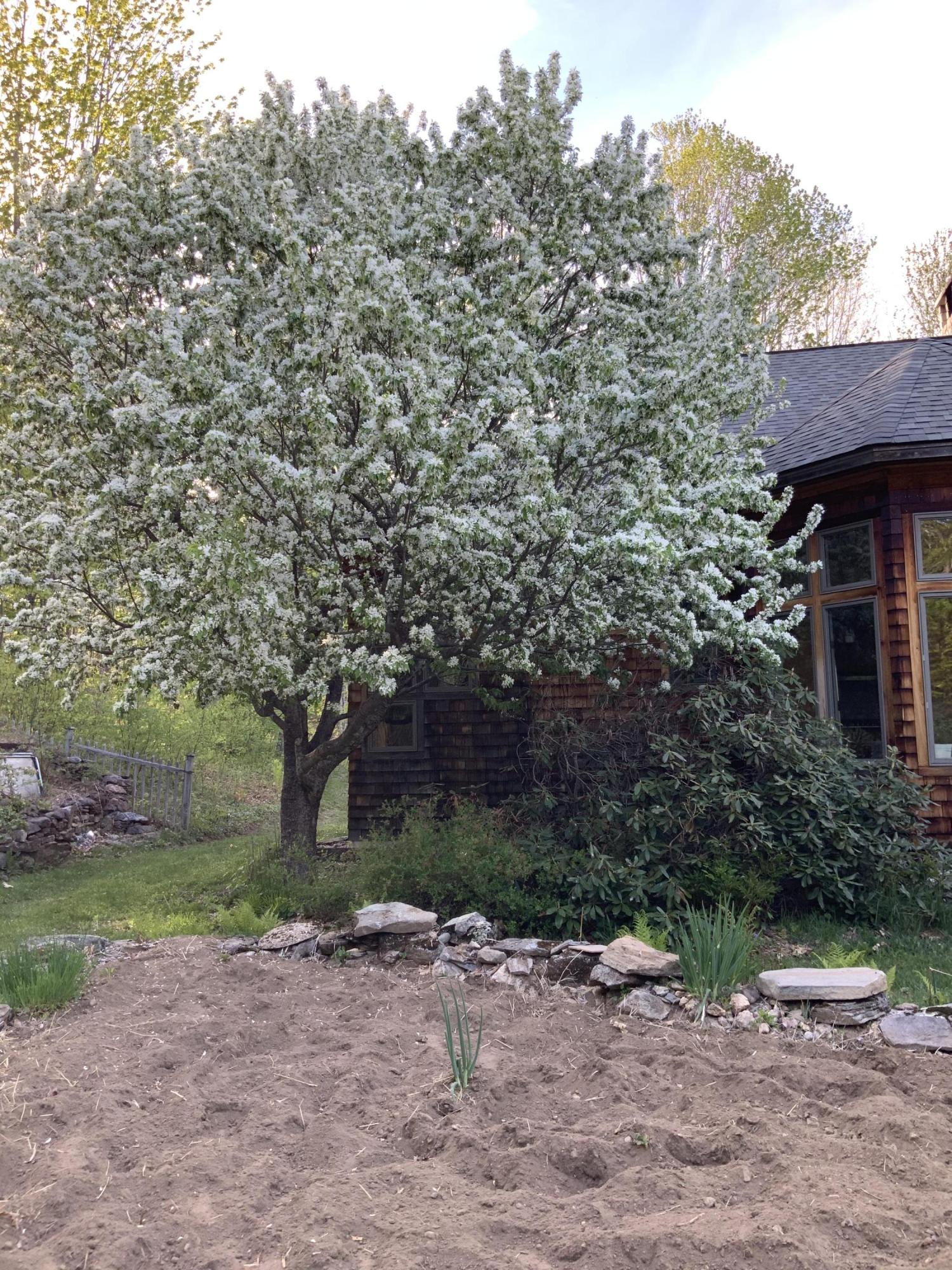 255 Dunn Road Norway, ME 04268 - Photo 35 of 46 Gardens