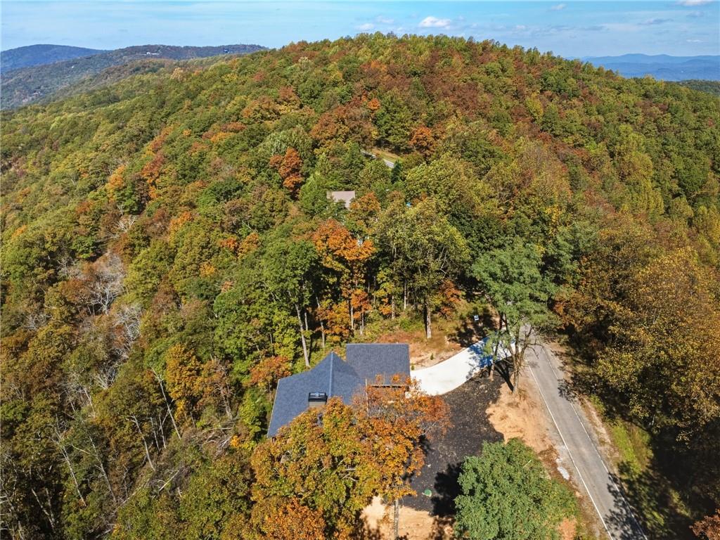 5388 Monument Road Jasper, GA 30143 - Photo 40 of 45