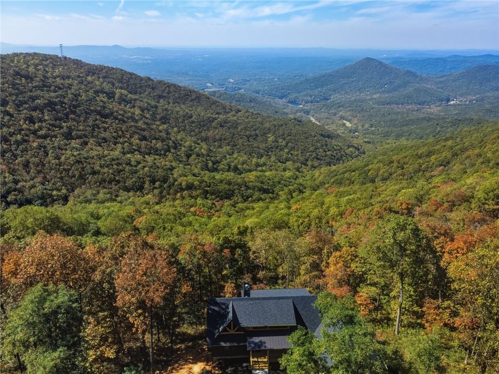 5388 Monument Road Jasper, GA 30143 - Photo 42 of 45 an aerial view of houses covered in trees