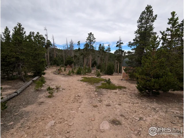 a view of a backyard with large trees