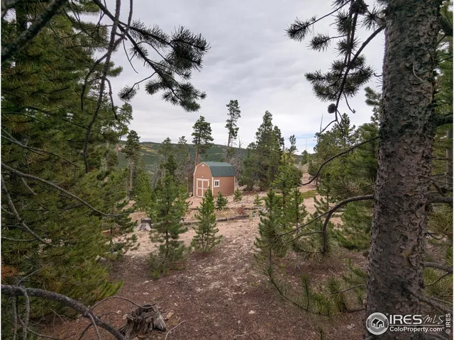 a view of a lake with large trees