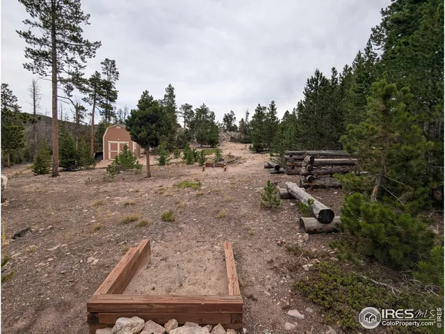 a view of a backyard with trees