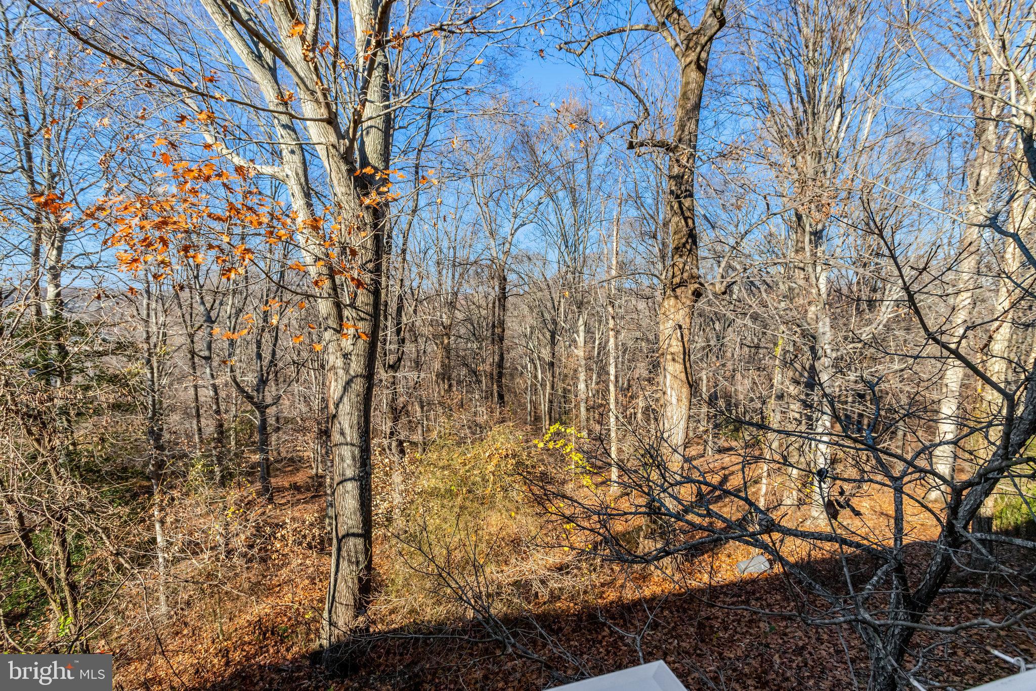 13803 Stroh Court Accokeek, MD 20607 - Photo 51 of 59