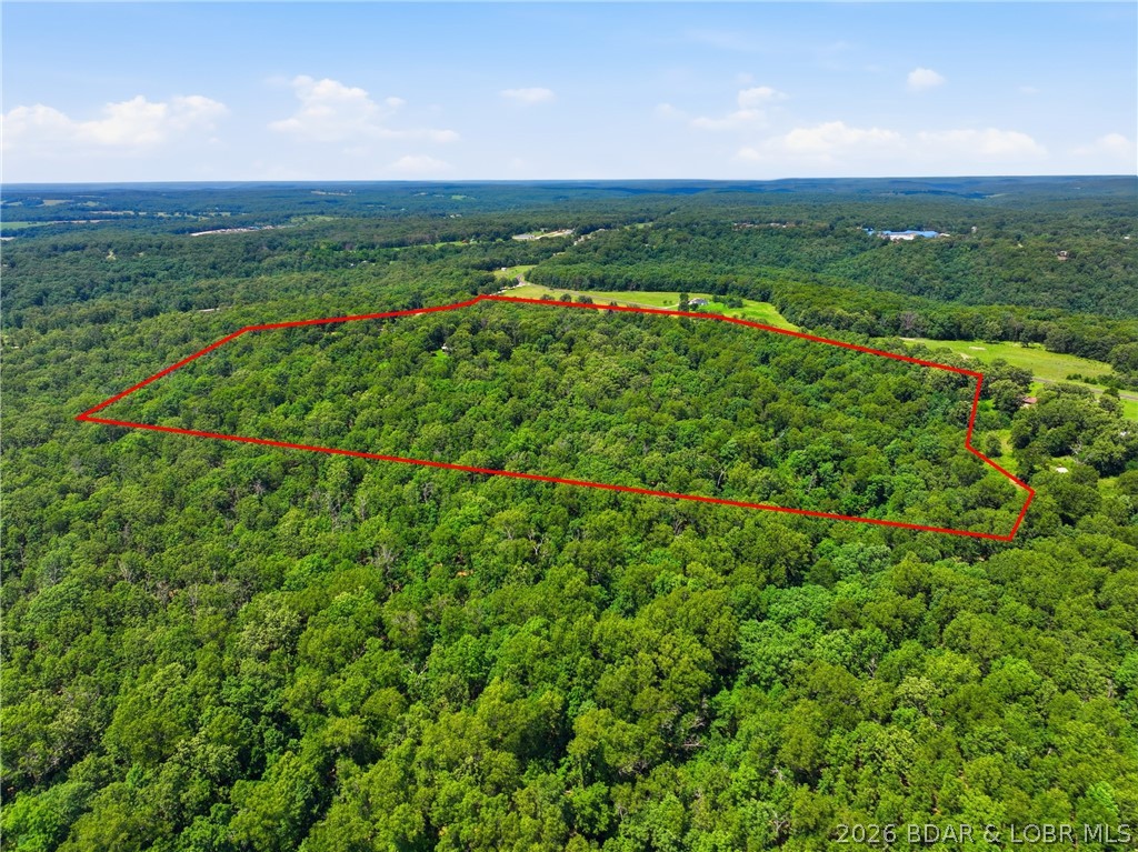 160 Salt Ground Road Macks Creek, MO 65786 - Photo 29 of 36