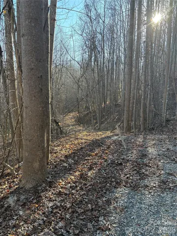 $17,000 | V/l Brindlewood Drive, Unit 38V, Nebo, NC 28761