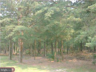128 Cooper Folly Road Atco, NJ 08004 - Photo 3 of 6 Gallery Image 3
