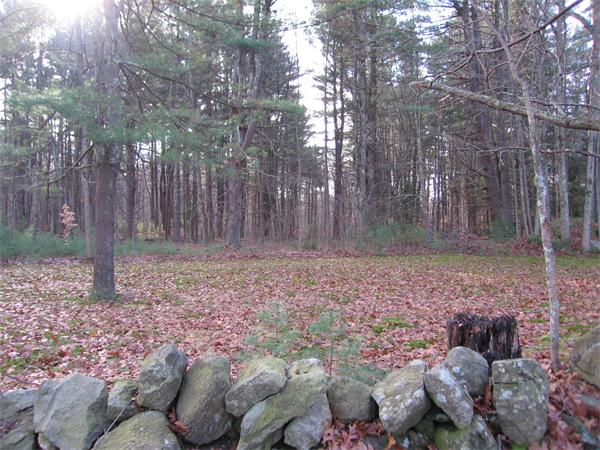 Lot 2 Christian Hill Road Upton, MA 01568 - Photo 5 of 10 Gallery Image 5