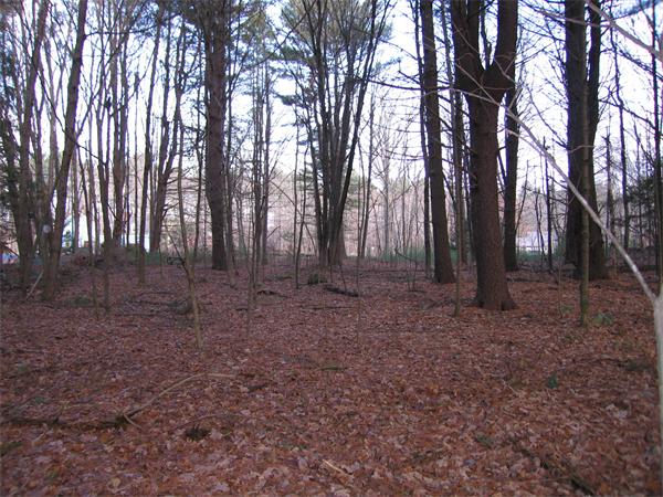 Lot 2 Christian Hill Road Upton, MA 01568 - Photo 7 of 10 Gallery Image 7