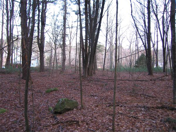 Lot 2 Christian Hill Road Upton, MA 01568 - Photo 9 of 10 Gallery Image 9