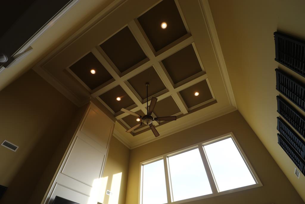 1195 County Line Road Dothan, AL 36305 - Photo 15 of 54 Ceiling in Living Room