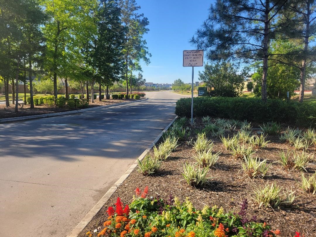 16843 Bristle Cone Way Conroe, TX 77302 - Photo 34 of 40