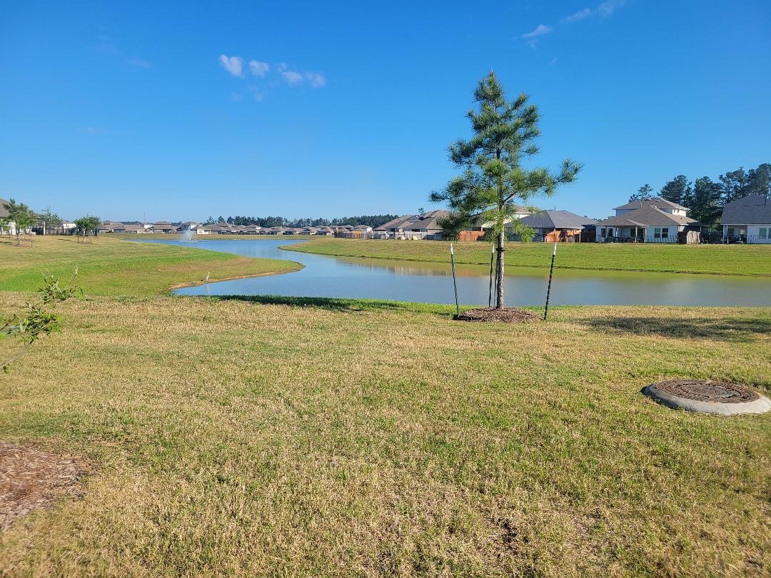16843 Bristle Cone Way Conroe, TX 77302 - Photo 36 of 40 Subdivision offers a large,beautiful lake.