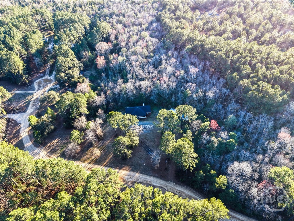 5312 May Road Ellabell, GA 31308 - Photo 45 of 46 Gallery Image 45