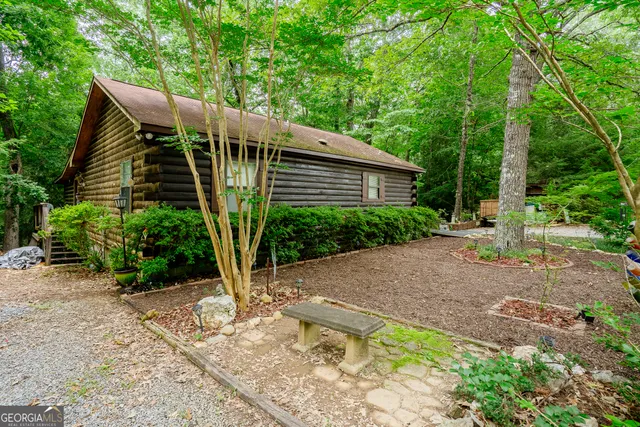 a view of a backyard with plants and large trees