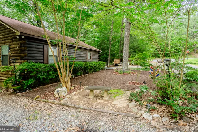 a view of a backyard with plants