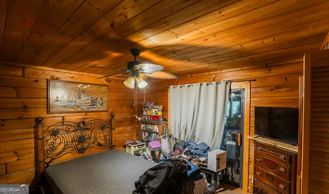 a close up of a plant in a garden