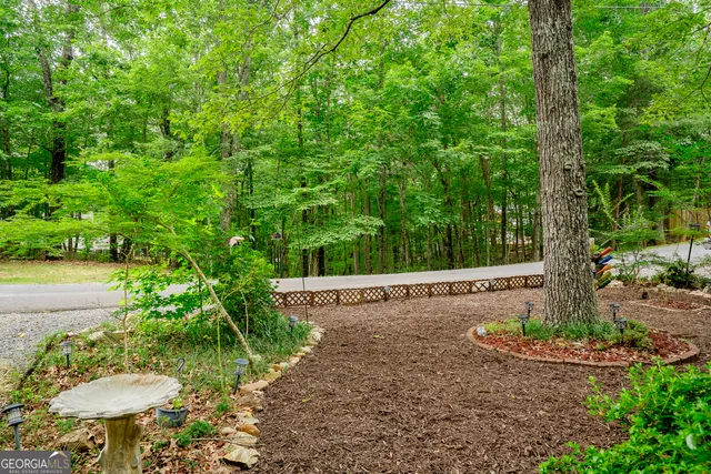 a view of a back yard
